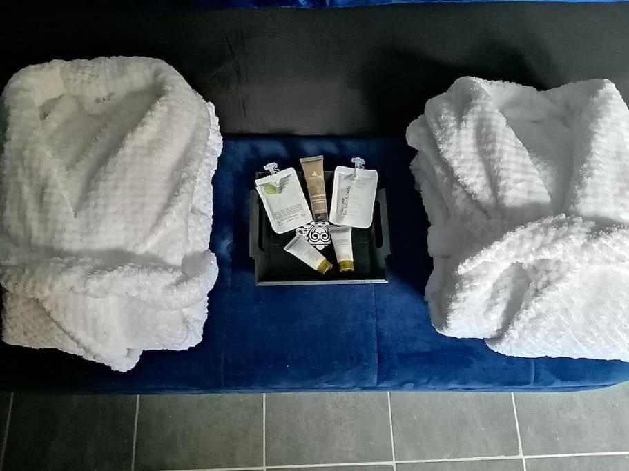 Appartement Avec Sauna Et Balneo Privatifs -Troyes Centre Esterno foto